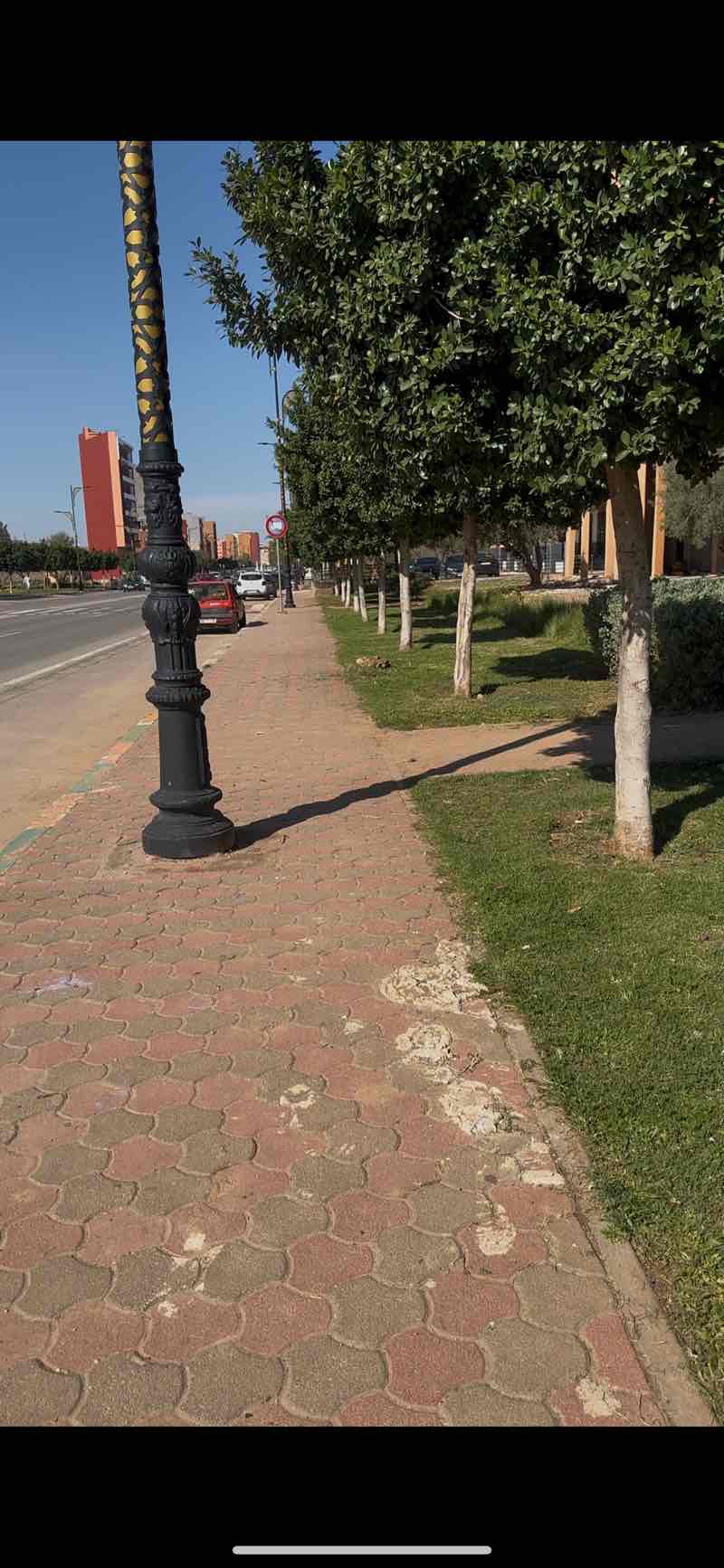 walking near me in Jardin massira khadra in spring