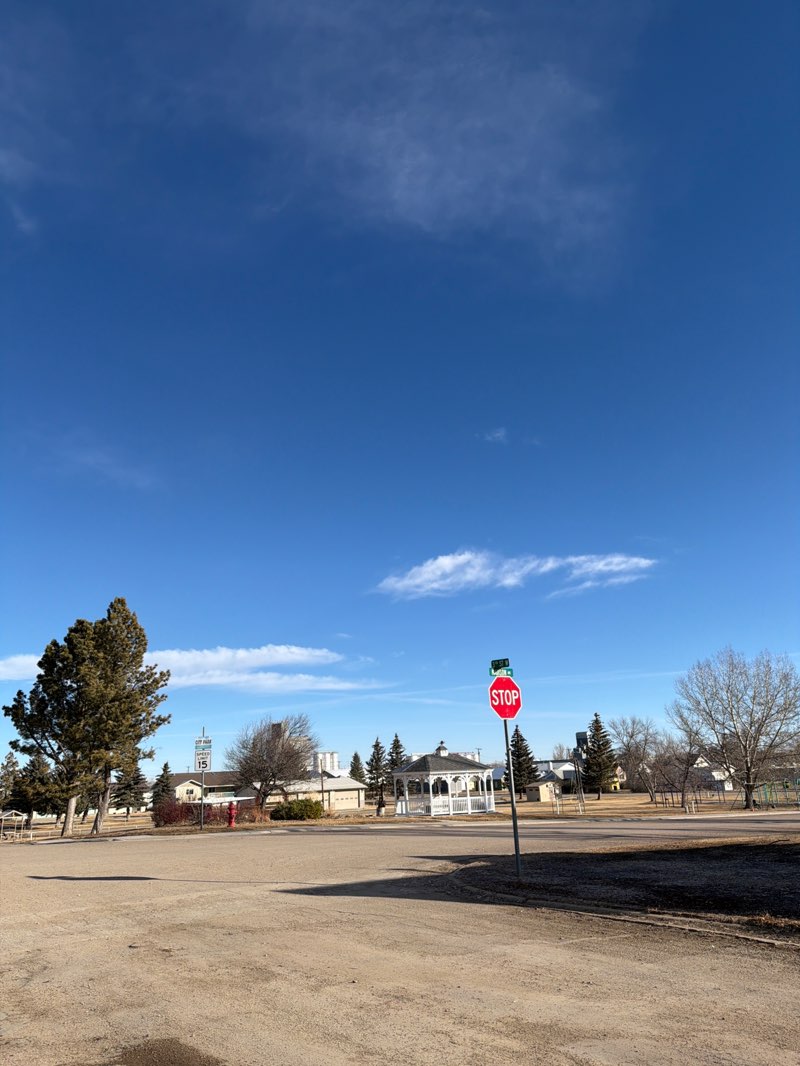 walking near me in Chester City Park in winter