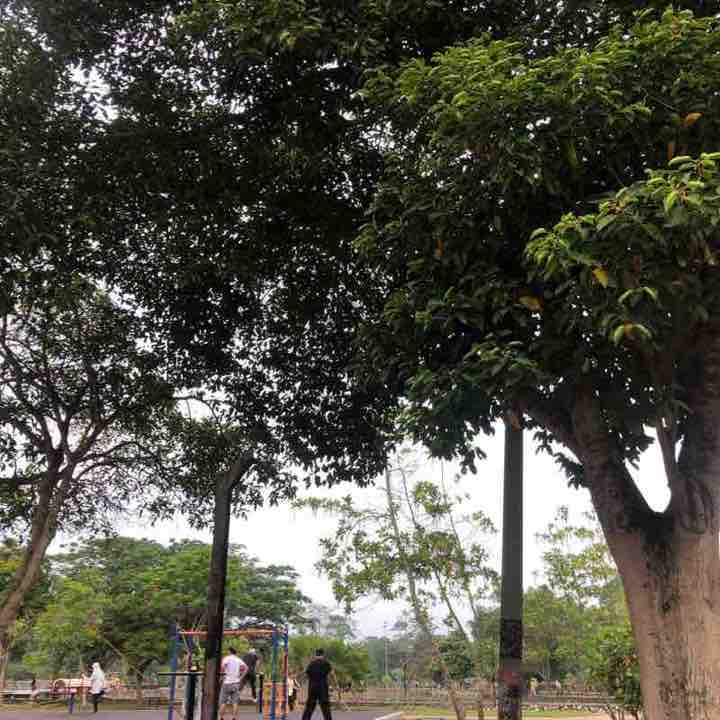 Najwa Abu Bakar post 2