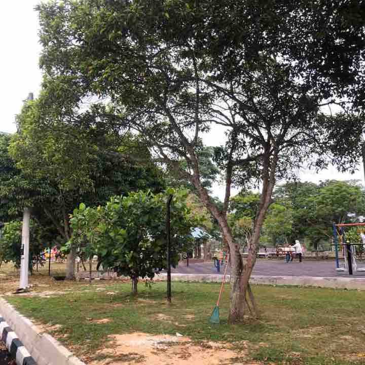 Najwa Abu Bakar post 1