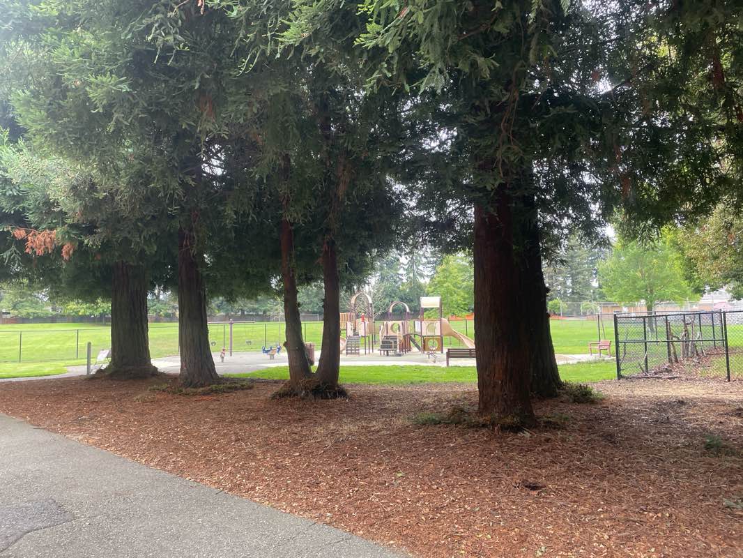 walking near me in Whisman School Park in summer