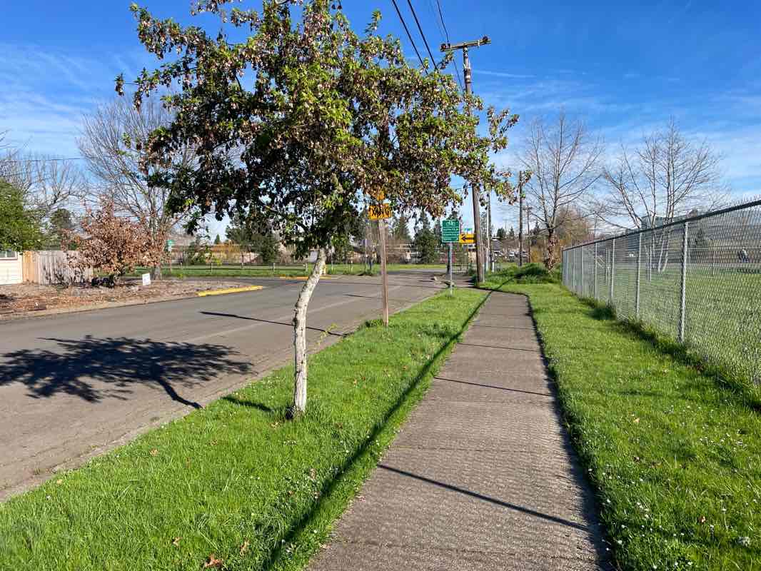 walking near me in Jefferson City Park in spring