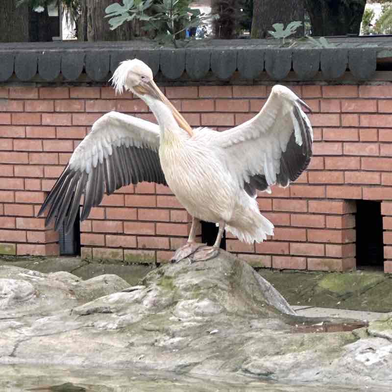 Александр 🇷🇺 post 2