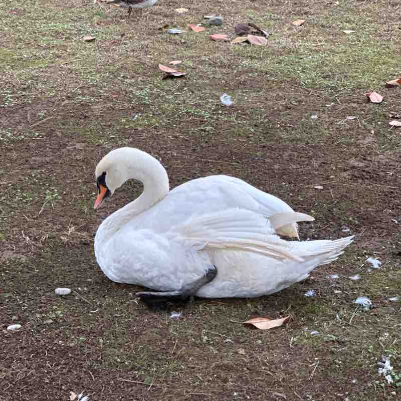 Александр 🇷🇺 post 3