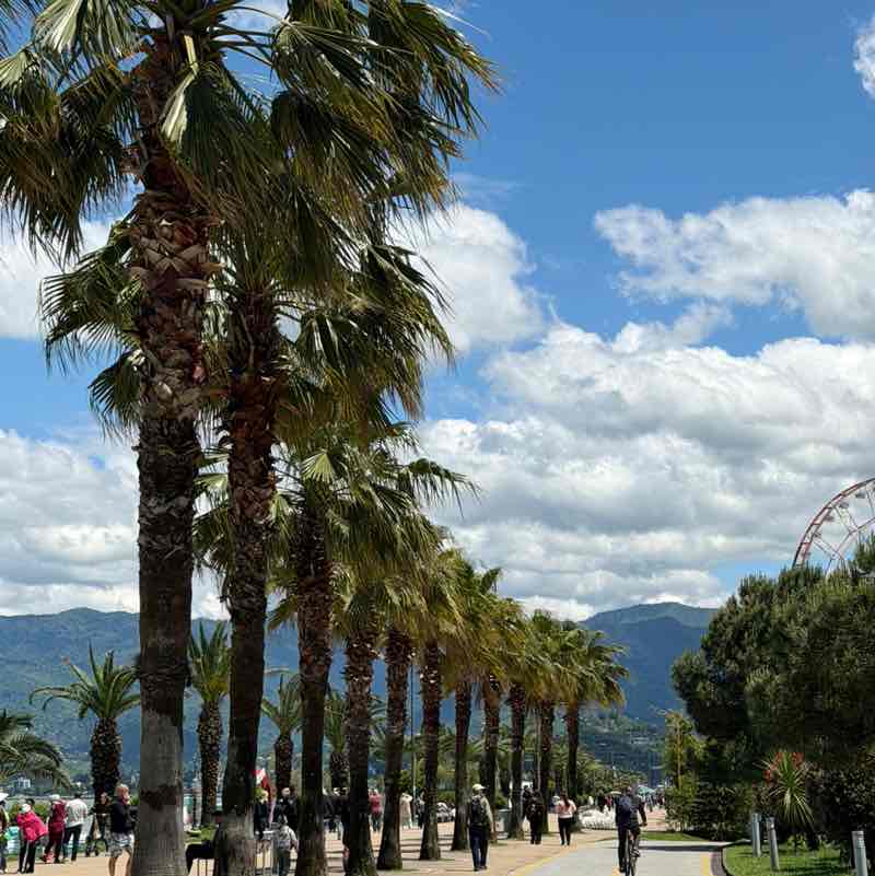 Batumi александр post image