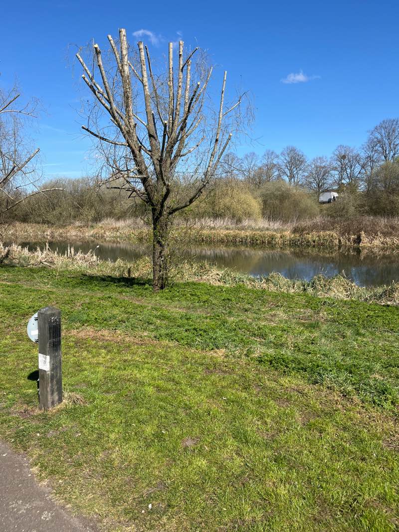 walking near me in Lower Castle Park in spring