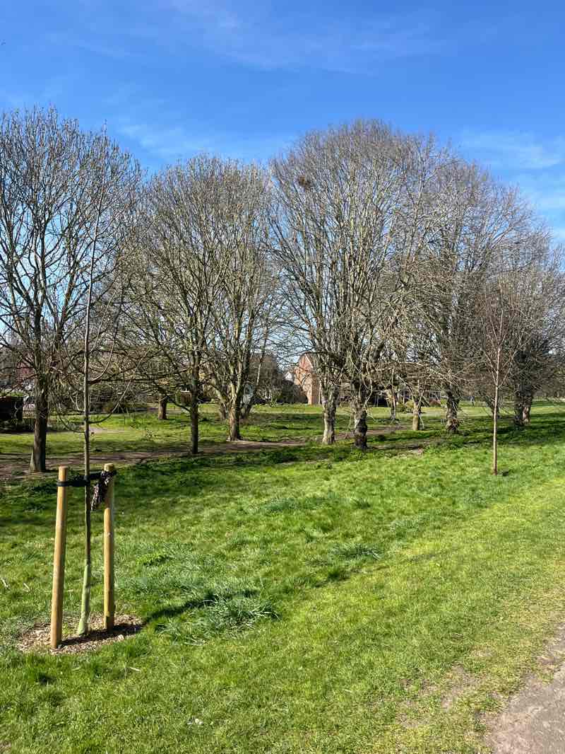 walking near me in Cowdray Marsh in spring