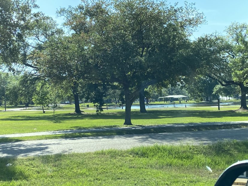 walking near me in Zemurray Park in spring