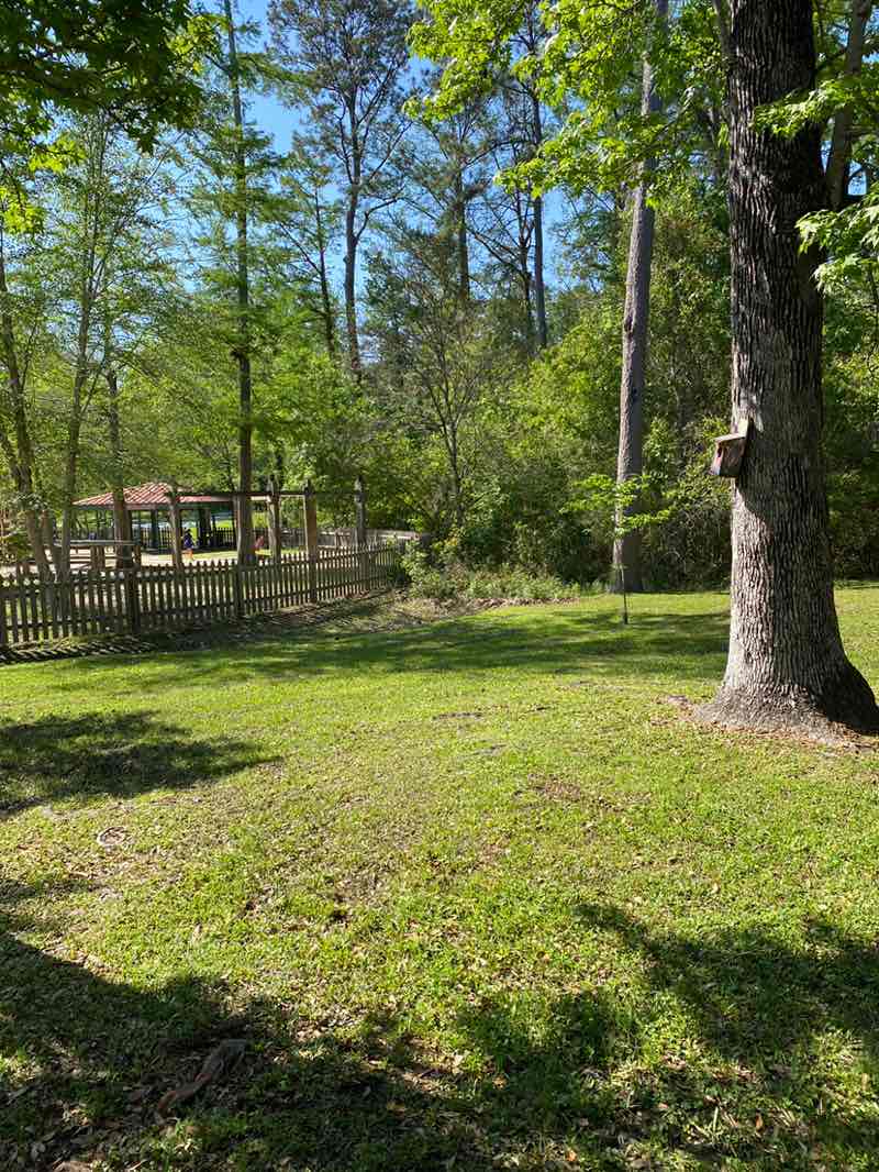 walking near me in Abita Springs Park in spring