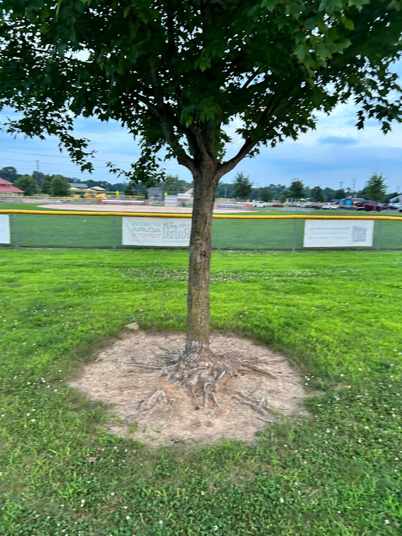 walking near me in Winding Hills Park (East) in autumn