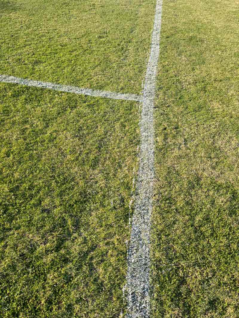 walking near me in soccer field in spring