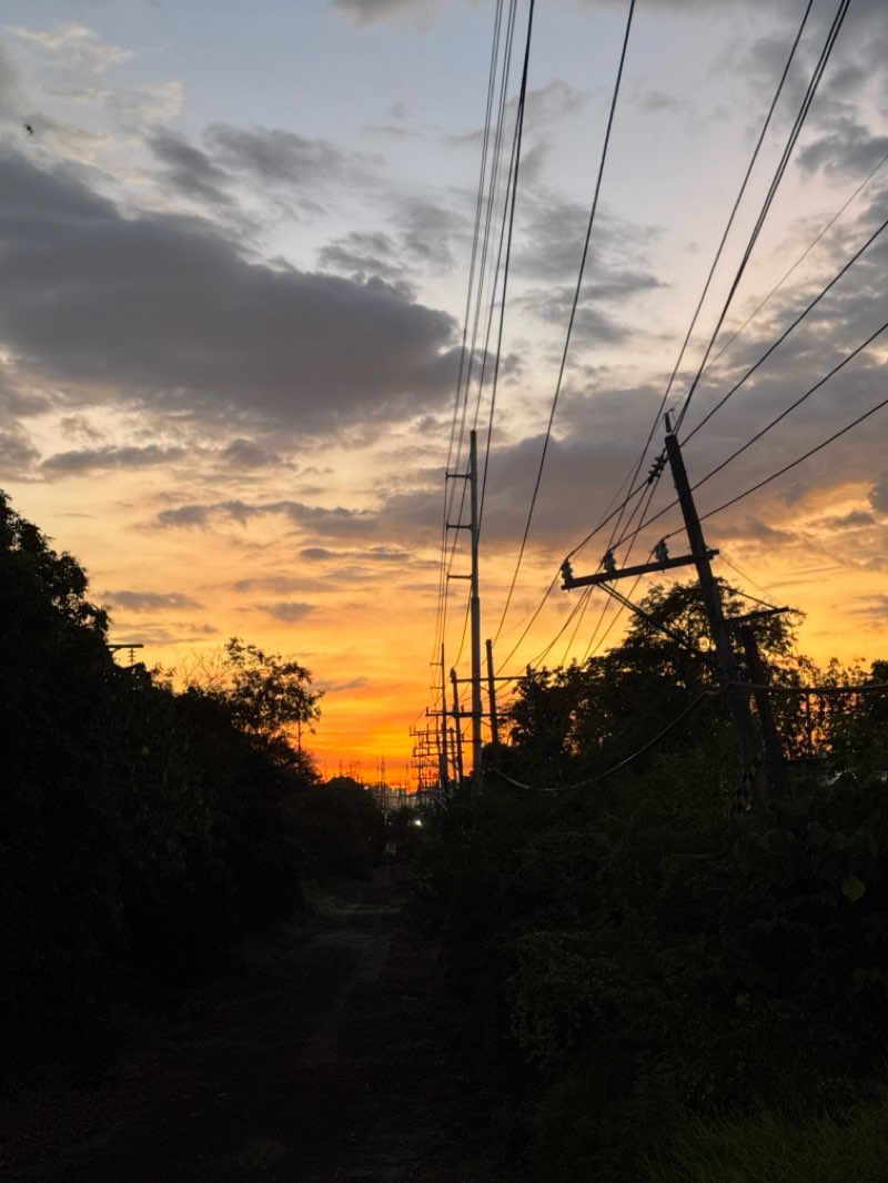 walking near me in Kalayaan Park in spring