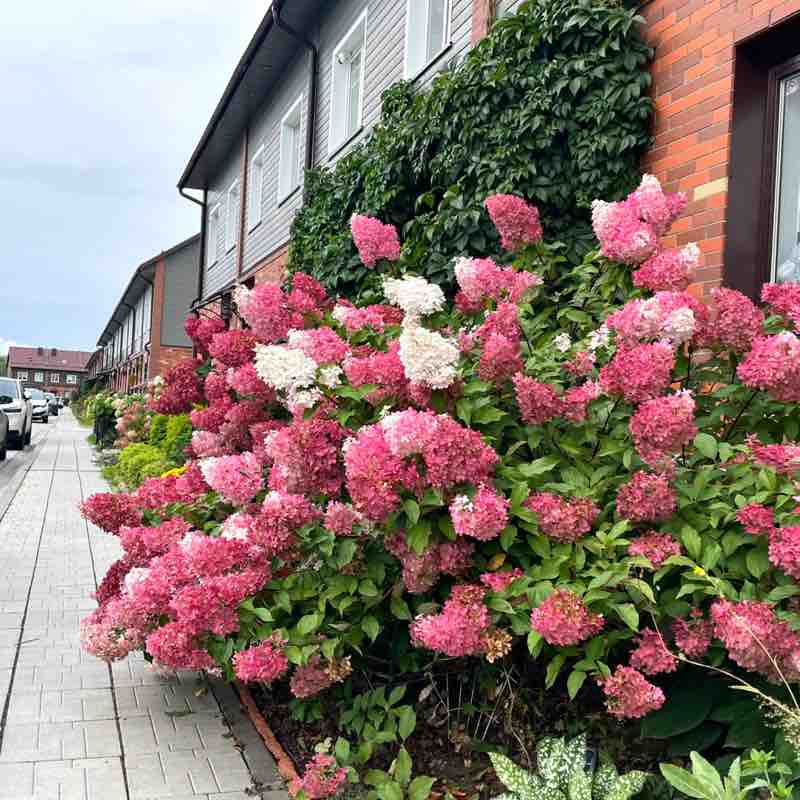 Елена Кропотова ☯️ post 3