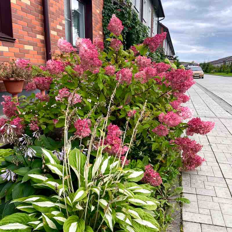 Елена Кропотова ☯️ post 1