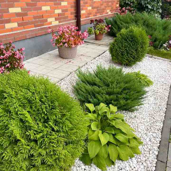 Елена Кропотова ☯️ post 2