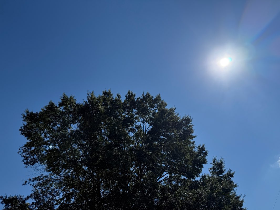 walking near me in Gardenview Park in autumn