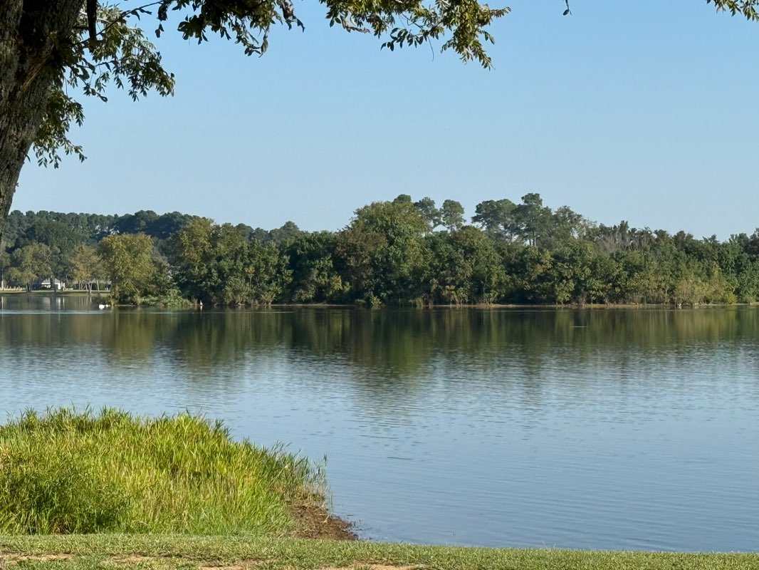 walking near me in Whitehouse City Park in autumn
