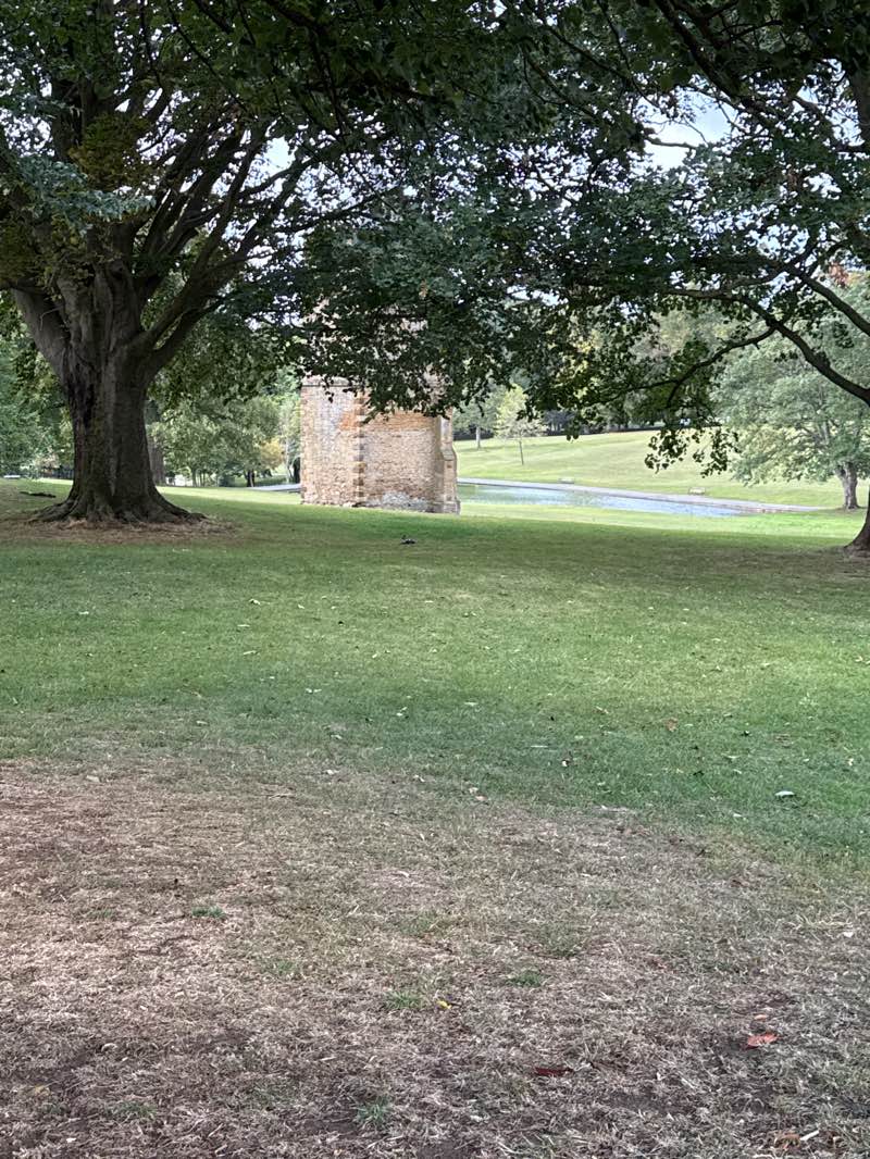 walking near me in Abington Park in autumn
