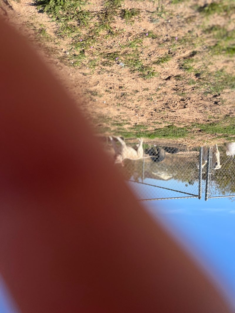 walking near me in Timberlane Park in spring