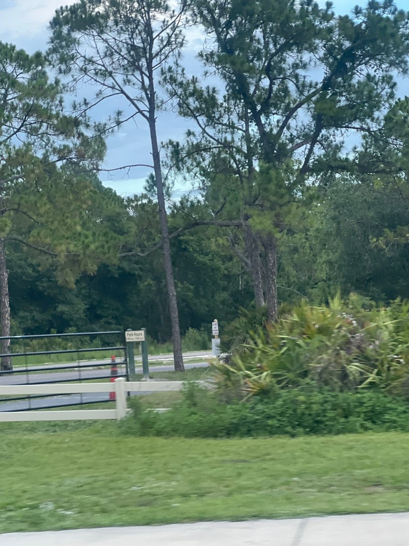 walking near me in Lower Hillsborough Wilderness Preserve in autumn