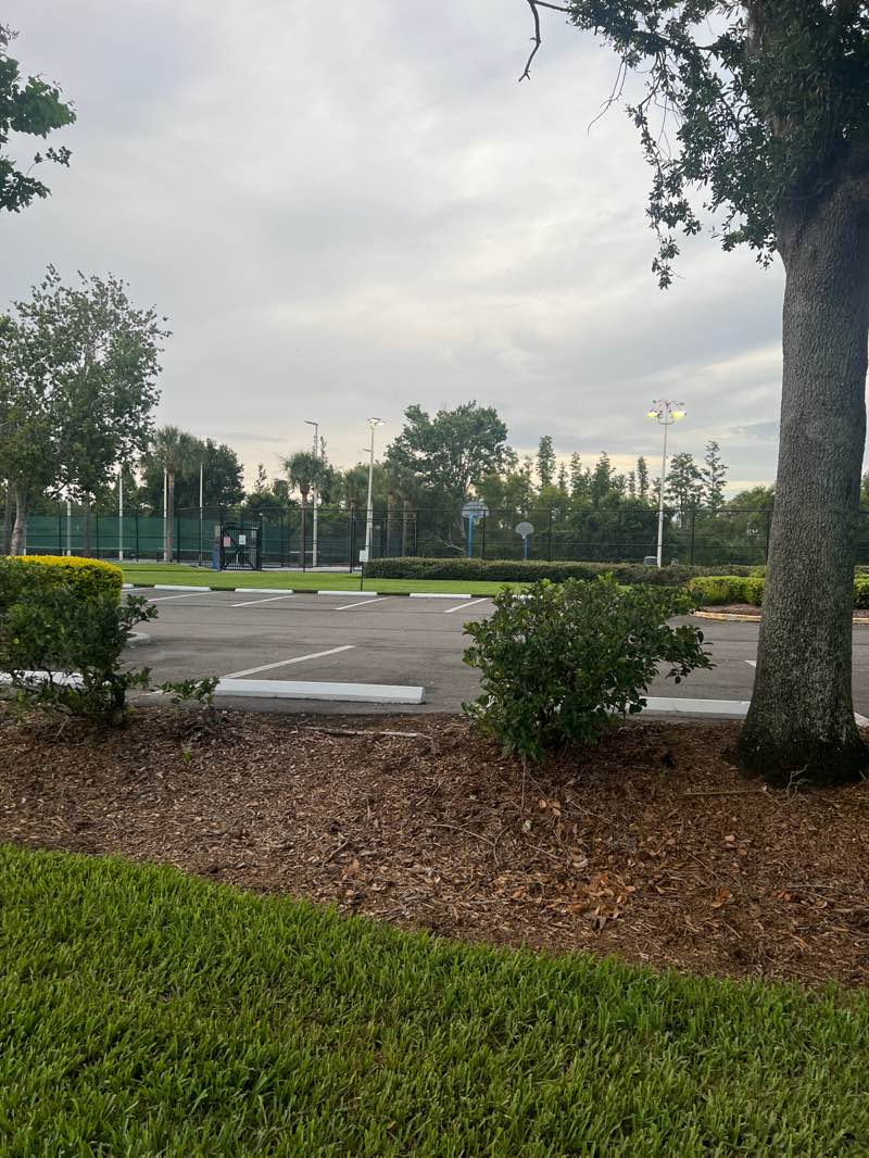 walking near me in Meadow Pointe II Community Association in summer