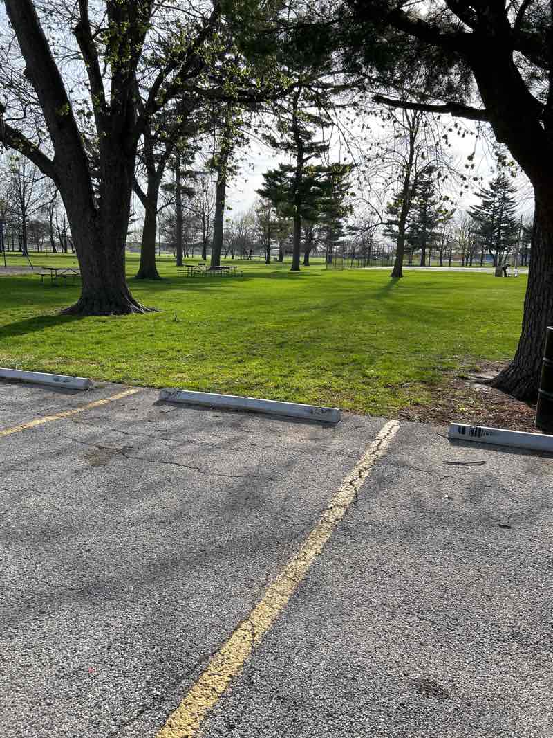 walking near me in Jaynes Park in spring