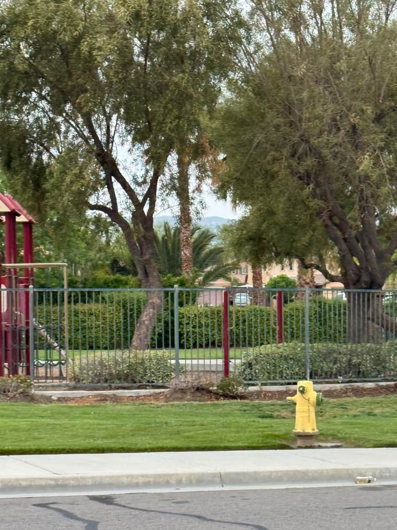 walking near me in Cutting Park in spring