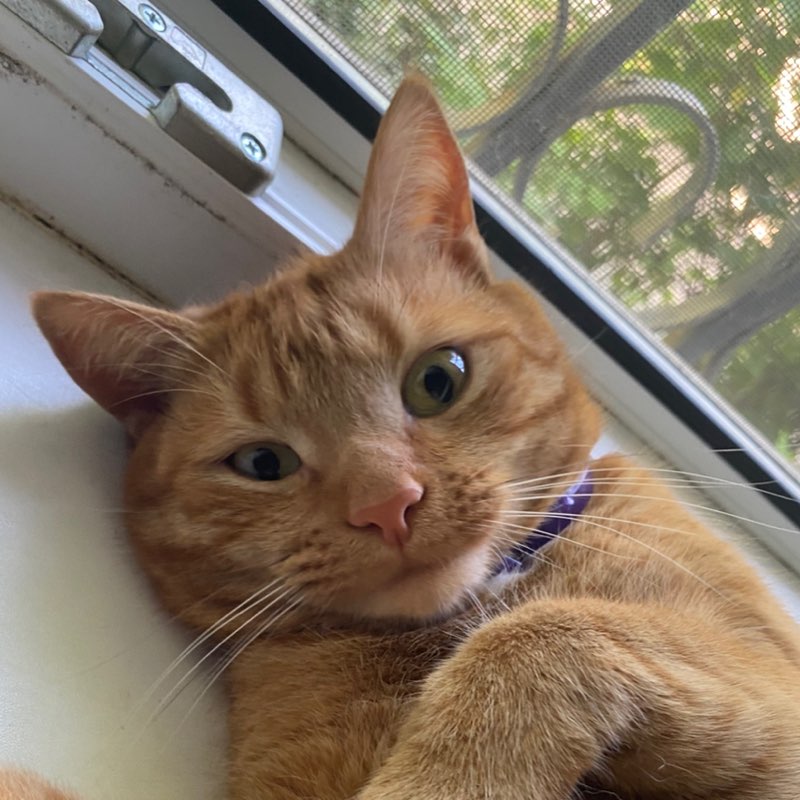 Владислав profile