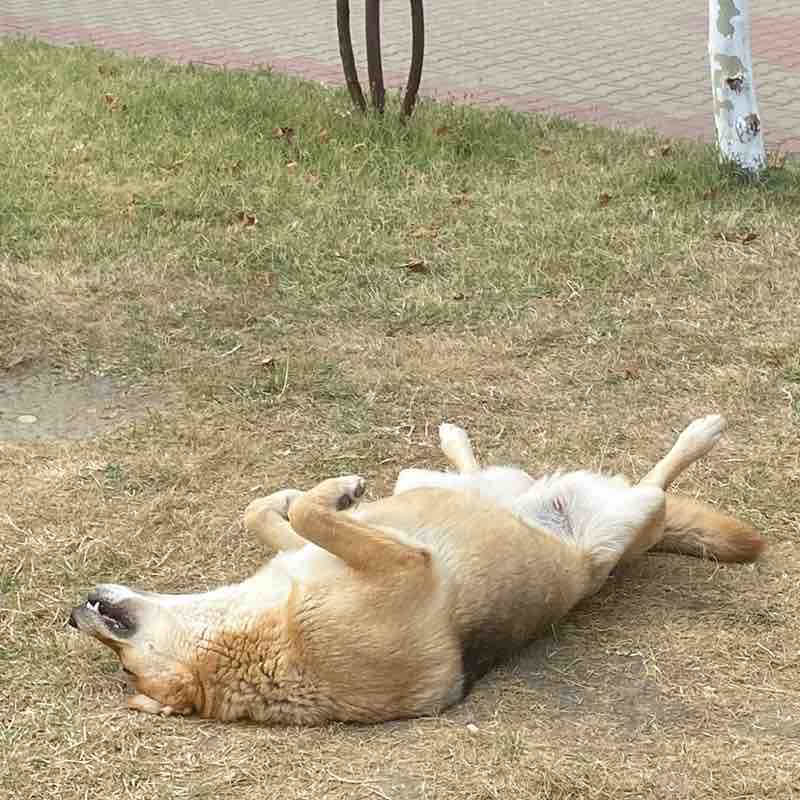 Мы молодцы Ольга post image