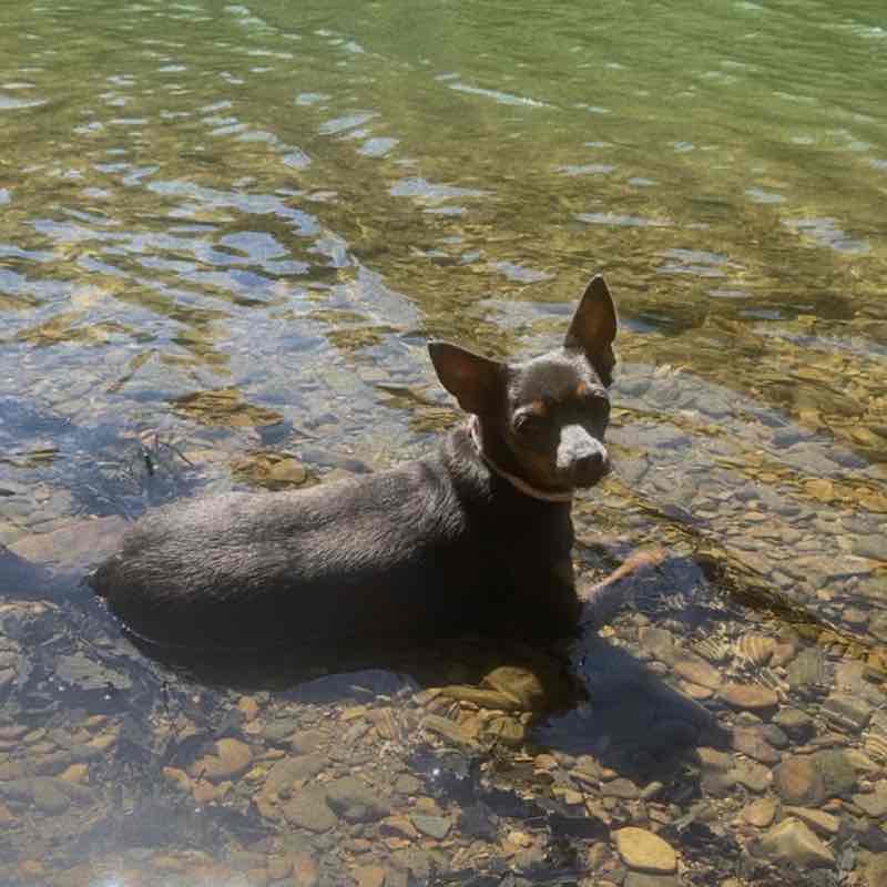 Мы молодцы Ольга post image