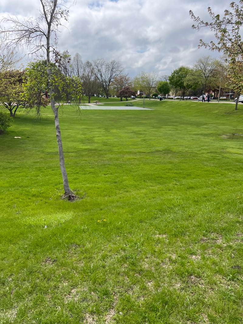 walking near me in Falcon Park in spring