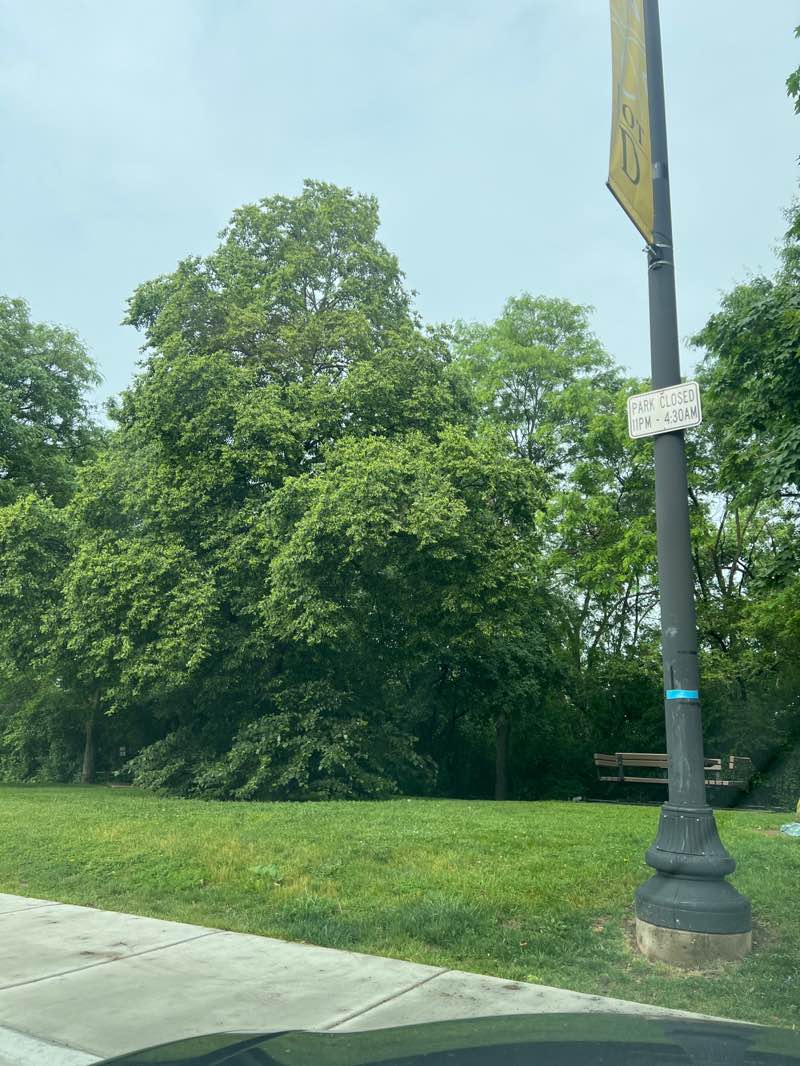 walking near me in Skokie Northshore Sculpture Park in summer