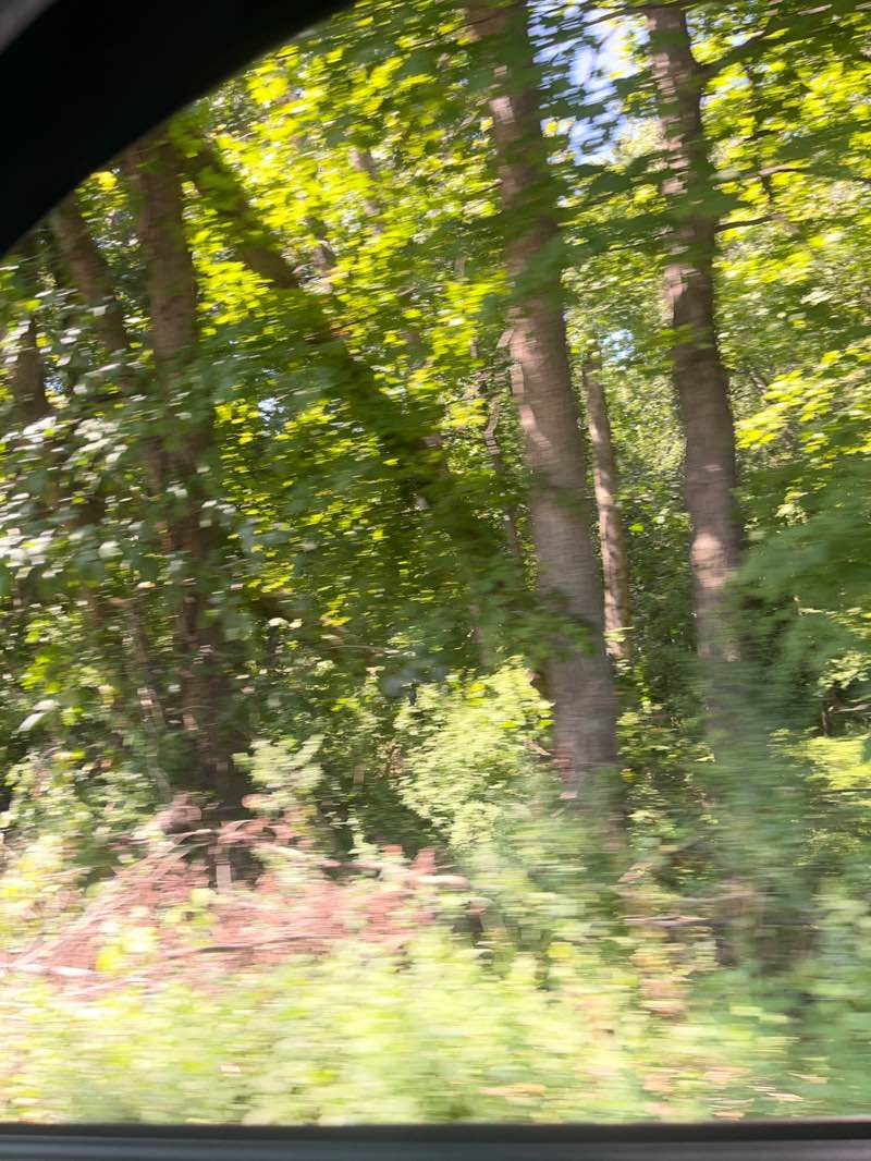 walking near me in Minisink Park in autumn