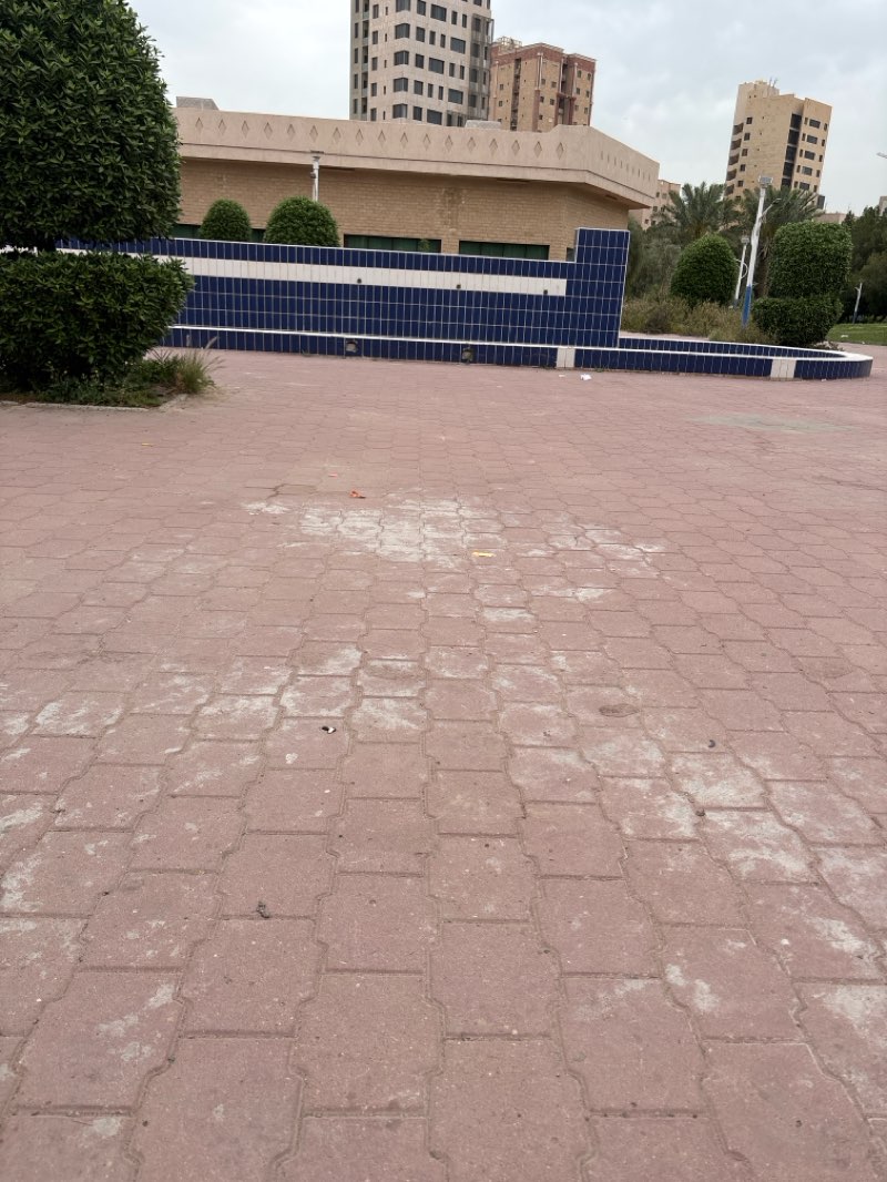walking near me in Jabriya Public Park in spring