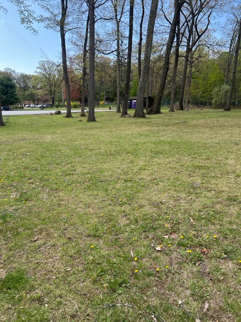 walking near me in Clark Recreation Center in spring