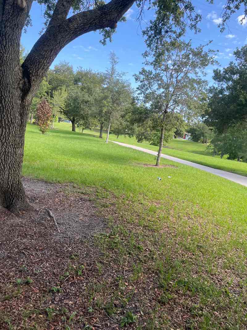 walking near me in Riverside Acres Park in summer
