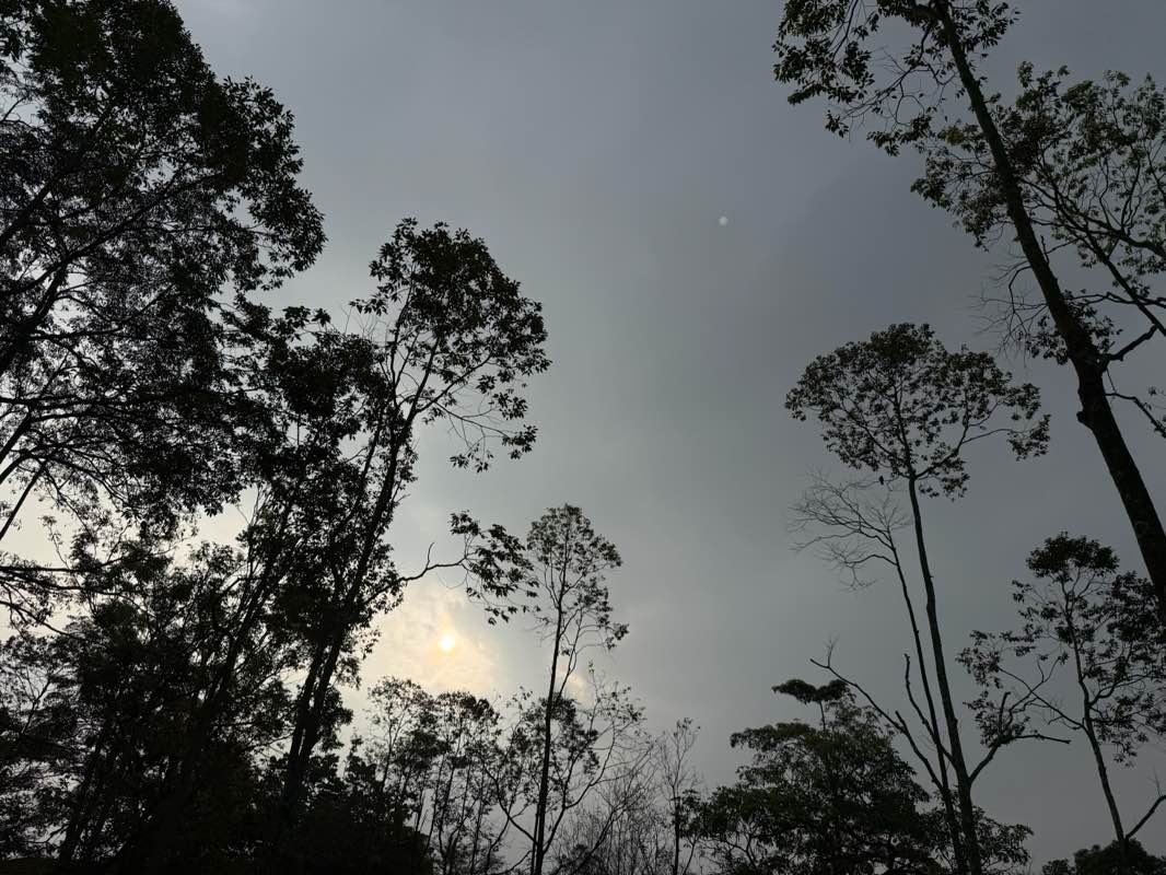 walking near me in Forest Heights Park in spring