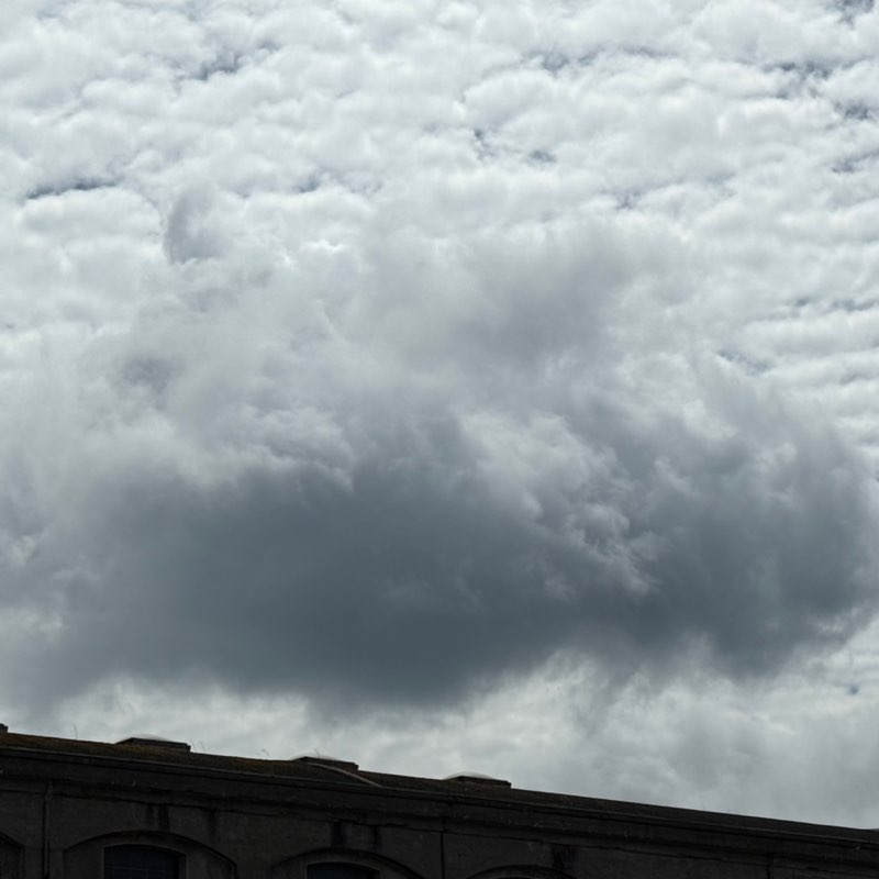 MEGAMARSCHierende🏃🏻♀️🏃🏻 Žan post image