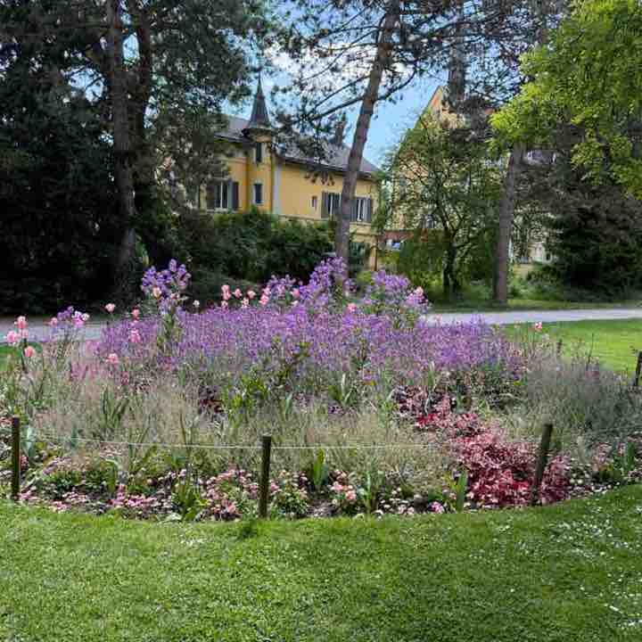 MEGAMARSCHierende🏃🏻♀️🏃🏻 Žan post image