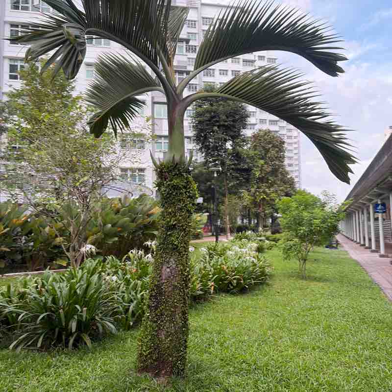 Siong Keong post 1