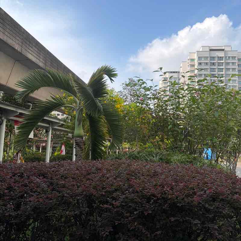 Siong Keong post 1