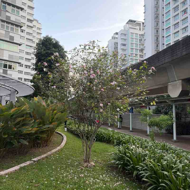 Siong Keong post 1