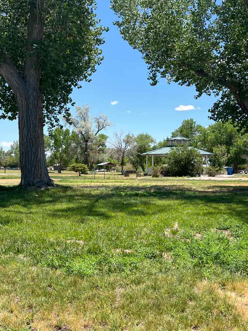 walking near me in Laura Mills Park in summer