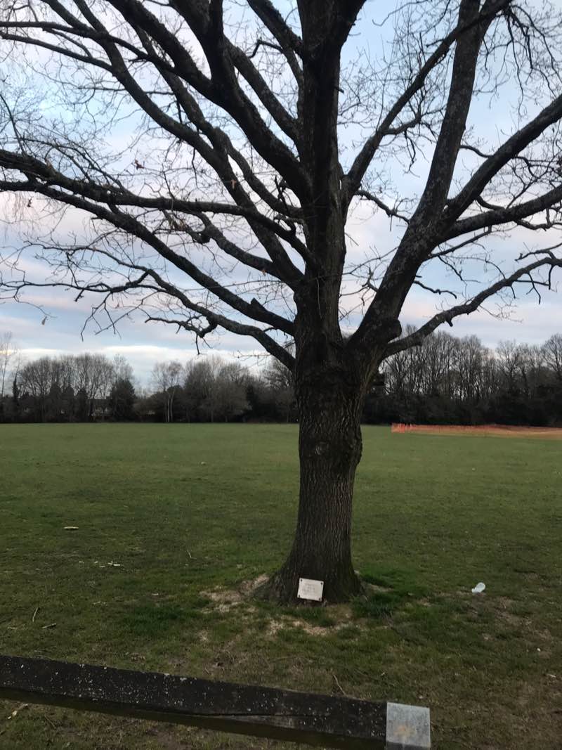 walking near me in Manor House Grounds in spring