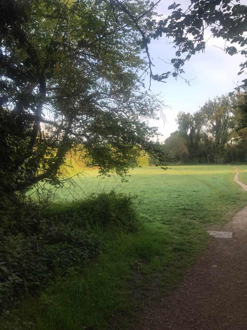 walking near me in Home Park in spring