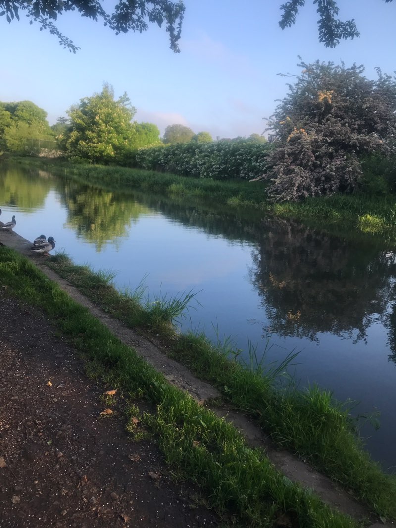 walking near me in Balderson's Moor in spring