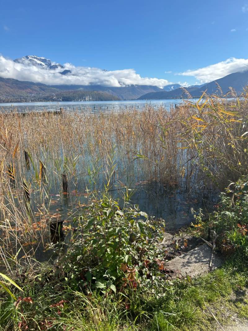 walking near me in Promenade Cheltenham in autumn
