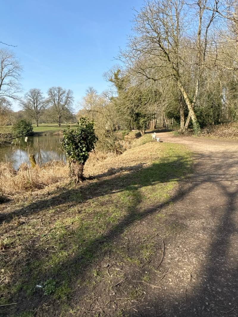 walking near me in Market Bosworth Country Park in spring