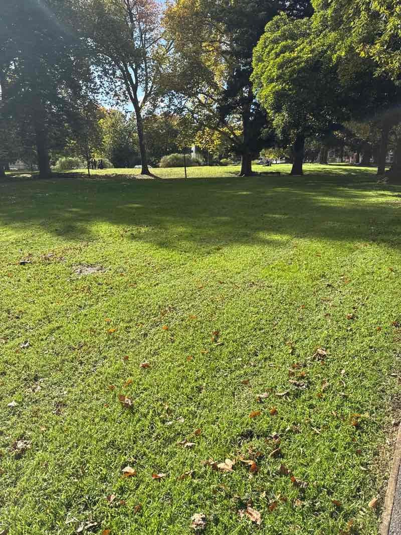walking near me in Carlton Gardens in autumn
