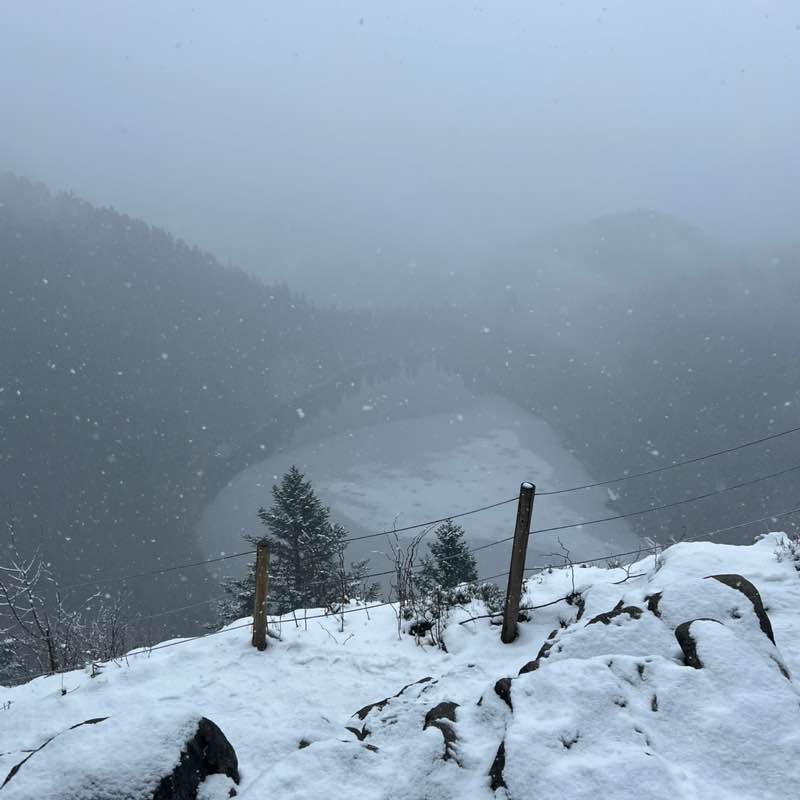 CS DACH Walking for Wellbeing Charline post image